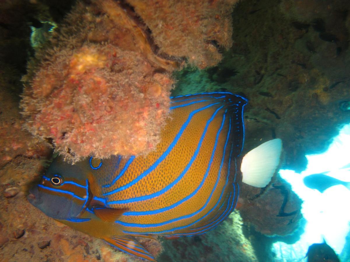 Ombak Dive Resort Perhentian Island Pulau Perhentian Kecil 외부 사진