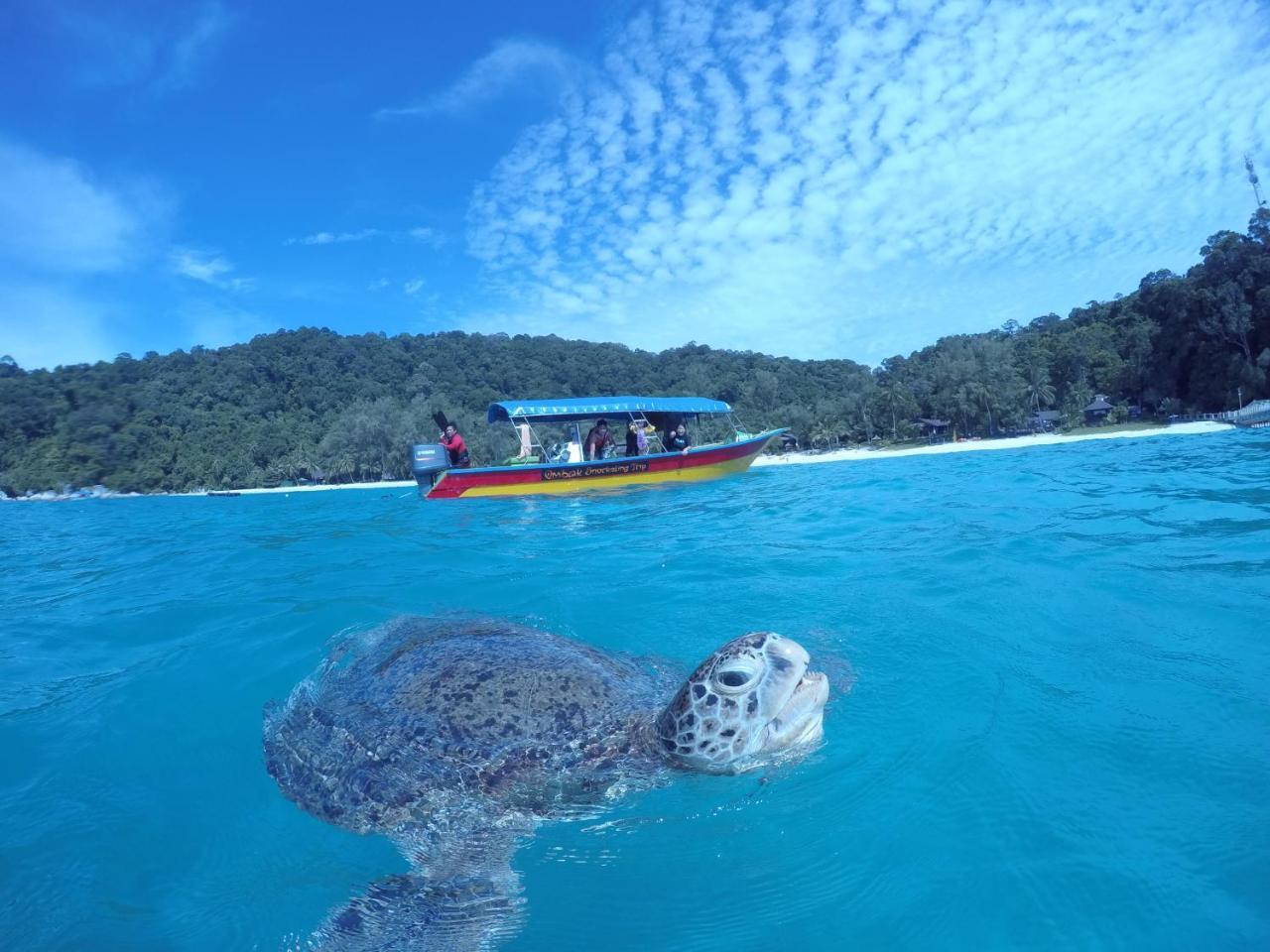 Ombak Dive Resort Perhentian Island Pulau Perhentian Kecil 외부 사진